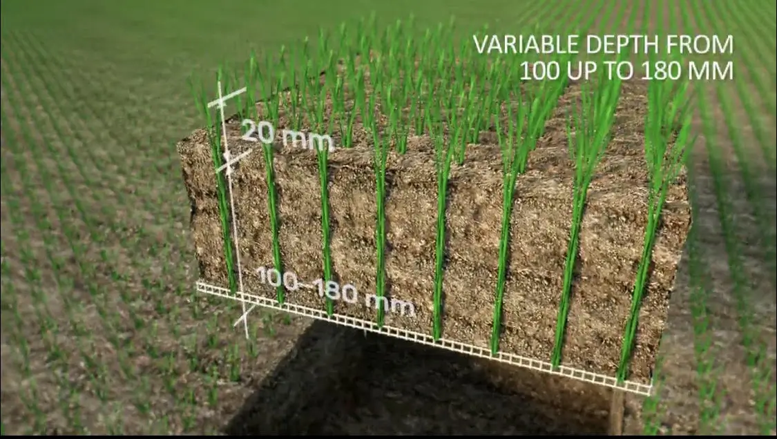 grassmax